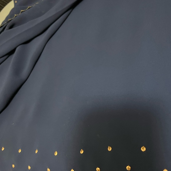 COPY - Desiner sari   in dark blue color with matching blouse - Picture 4 of 4